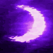 Purple Gif