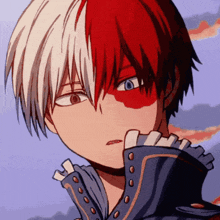 Shoto Todoroki Gif