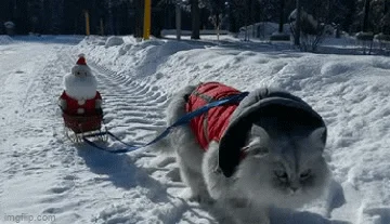 Sled Gif
