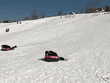 Sled Gif