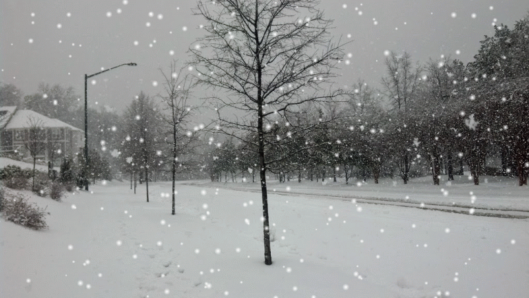 Snow Animated GIF