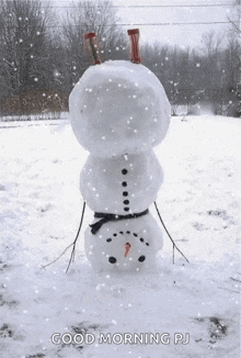Snow Gif