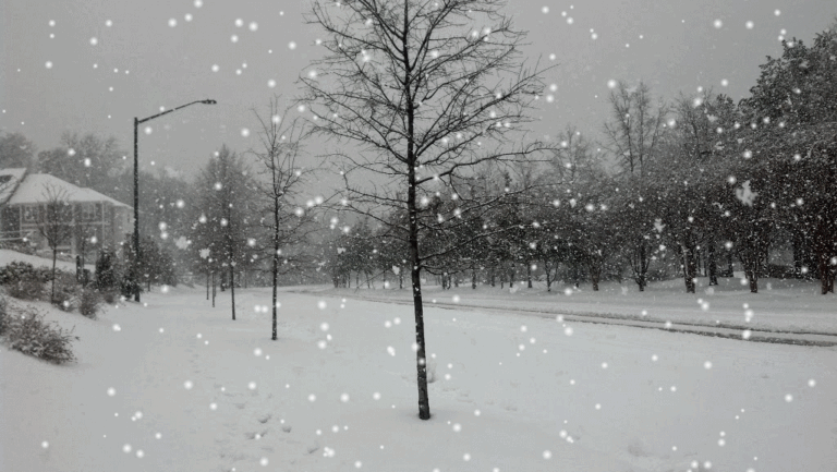 Snow Animated GIF