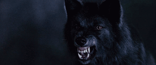 Wolf Gif