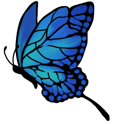 Butterfly Gif