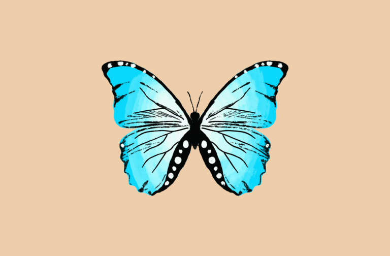 Butterfly Animated GIF