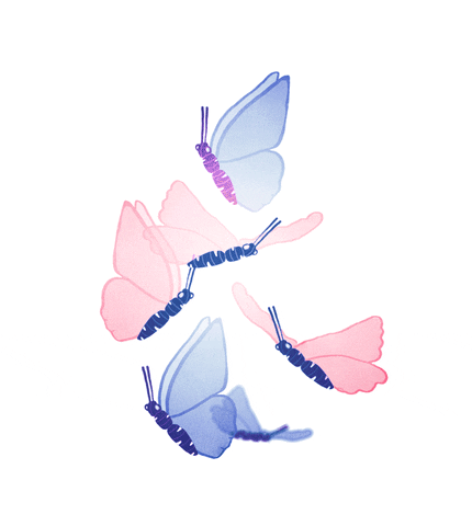 Butterfly Gif