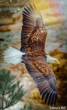 Eagle Gif