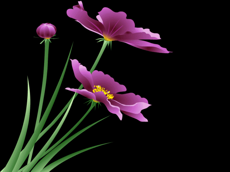 Flower Animated GIF