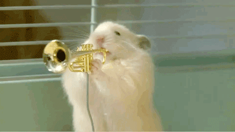 Hamster Gif