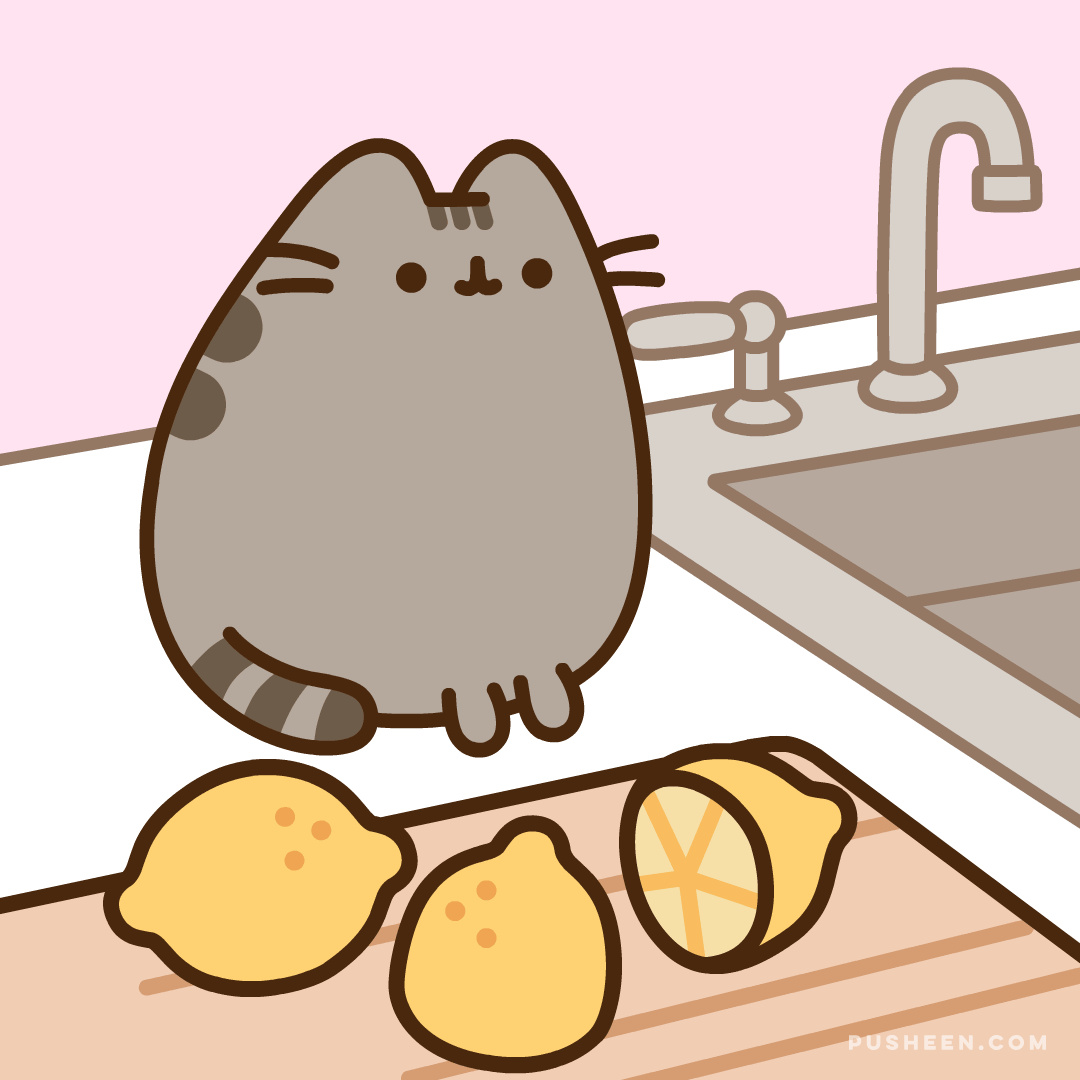 Pusheen Gif