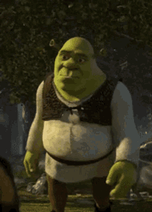 Shrek Gif