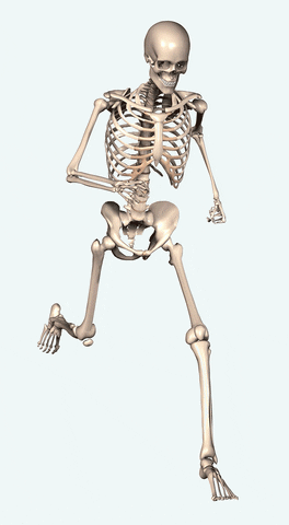 Skeleton Gif