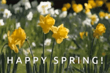 Spring Gif