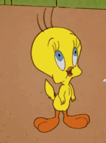 Tweety Gif