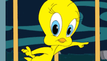 Tweety Gif