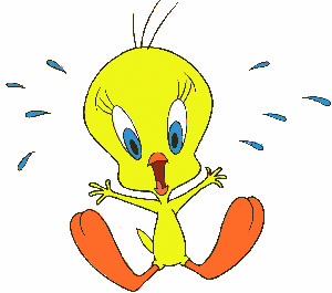 Tweety Gif