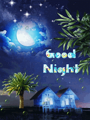 Good Night Gif