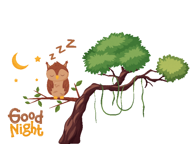 Good Night Gif