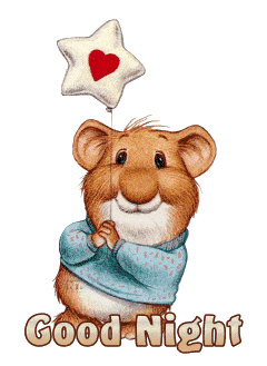 Good Night Gif