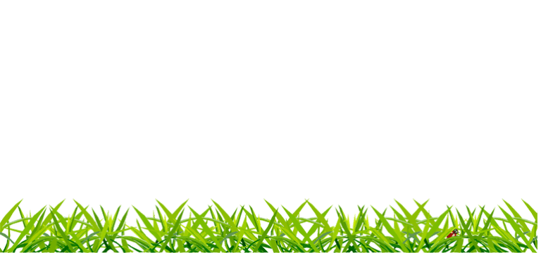 Grass Animated GIF