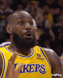 LeBron James Gif