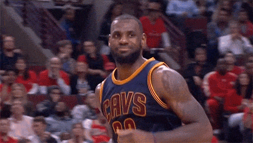 LeBron James Gif