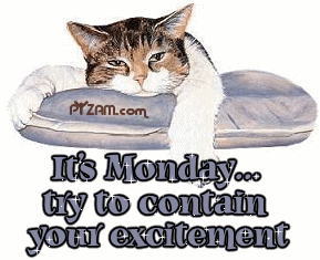 Monday Gif