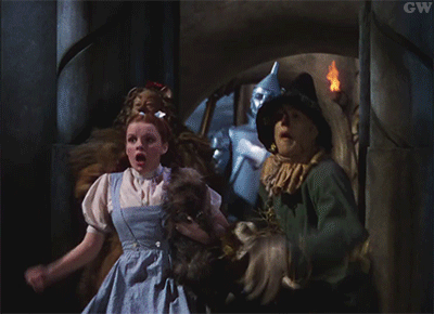 The Wizard Of Oz Gif