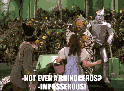 The Wizard Of Oz Gif
