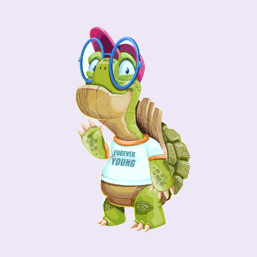 Turtle Gif