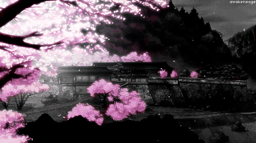 Cherry Blossom Gif