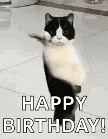 Happy Birthday Gif