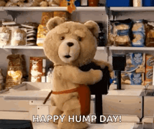 Humpday Gif