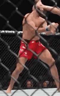 Jiří Procházka Gif