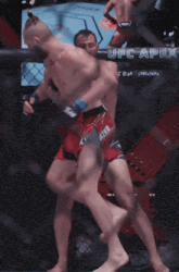 Jiří Procházka Gif