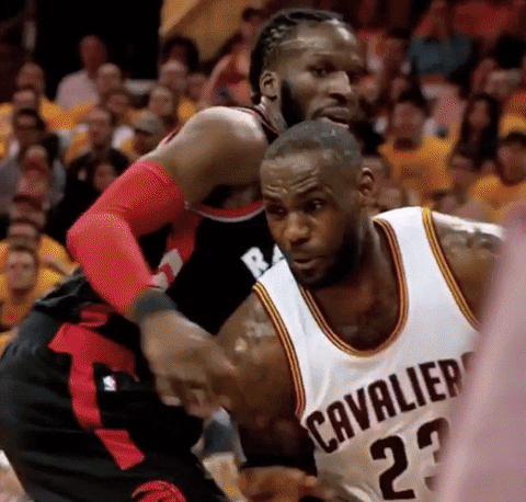 LeBron James Gif