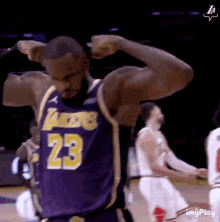 LeBron James Gif
