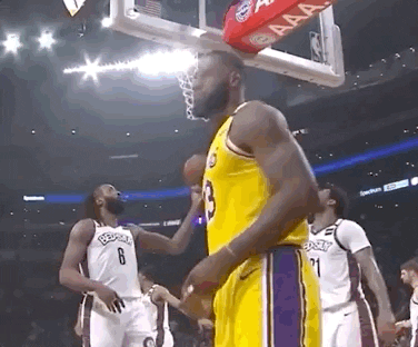 LeBron James Gif