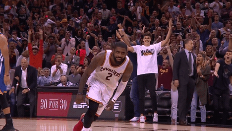 LeBron James Gif