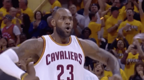 LeBron James Gif