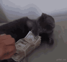 Money Gif