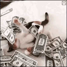 Money Gif