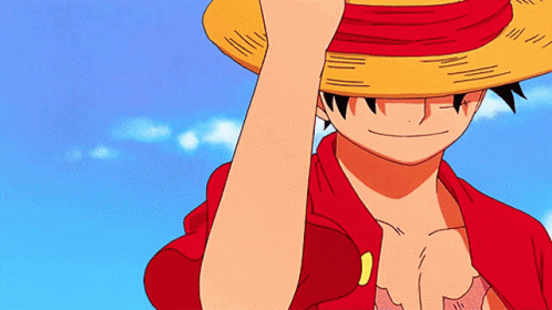 Monkey D. Luffy Gif