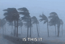 Tropical Cyclone Gif