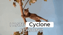 Tropical Cyclone Gif