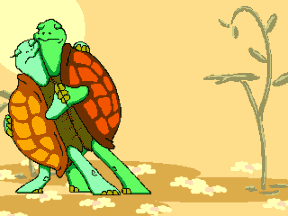 Turtles Gif