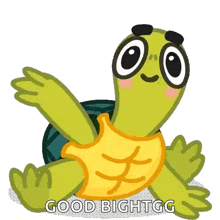 Turtles Gif