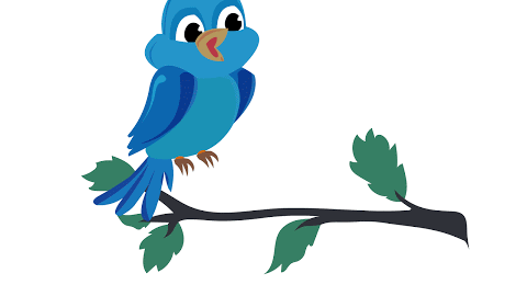 Bird Gif