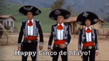 Cinco de Mayo Gif